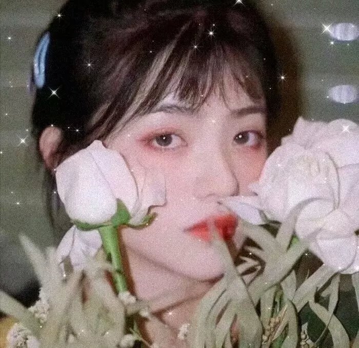 缇萦